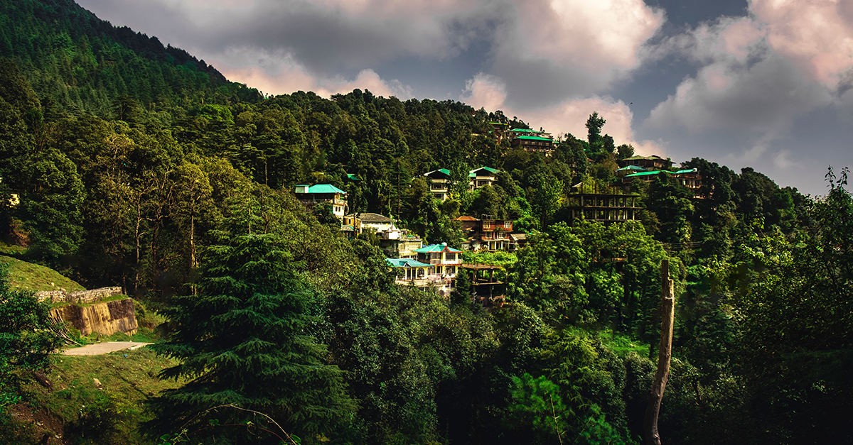 Wellness Retreat Homes