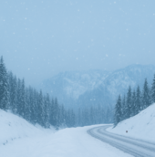 Snowfall Alerts 2025