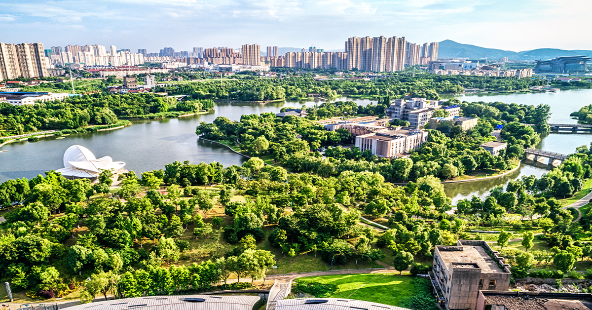 Rise of Forest Townships