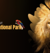 Dudhwa National Park
