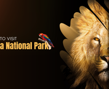 Dudhwa National Park