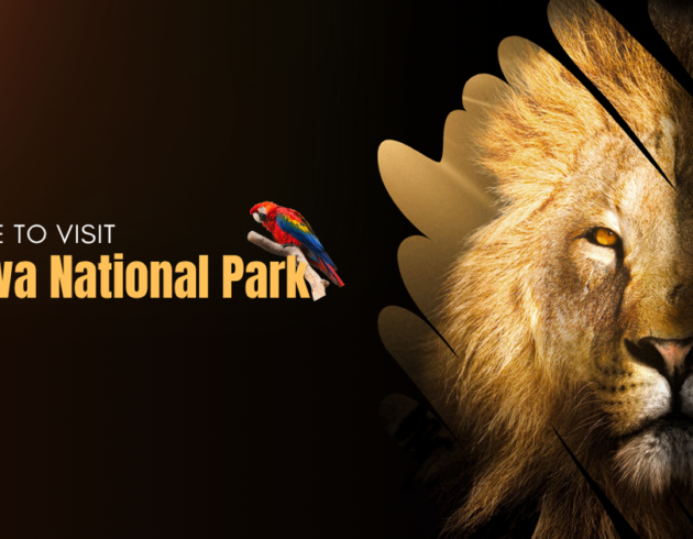 Dudhwa National Park