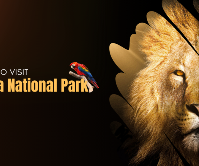 Dudhwa National Park
