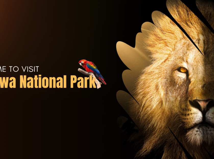 Dudhwa National Park