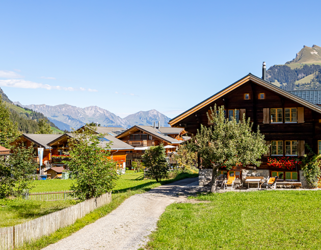 Traditional wooden mountain homes surrounded by lush green fields with scenic Himalayan peaks and a clear blue sky, representing peaceful countryside living in Himachal Pradesh.