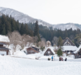 Snow-covered traditional thatched-roof houses in a mountain village with pine forest and snowy peaks in the background If you do want to keep it as a generic "snowy hill village" mood image despite the mismatch, a softer, less location-specific option: